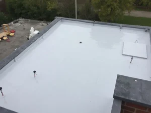 Fibreglass Roofing